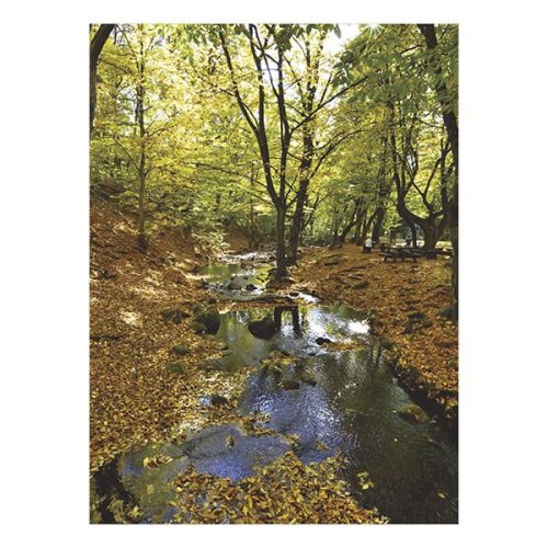 Falinaptár TOPTIMER T093 310x420mm álló Ezerszínű Magyarország 2026.