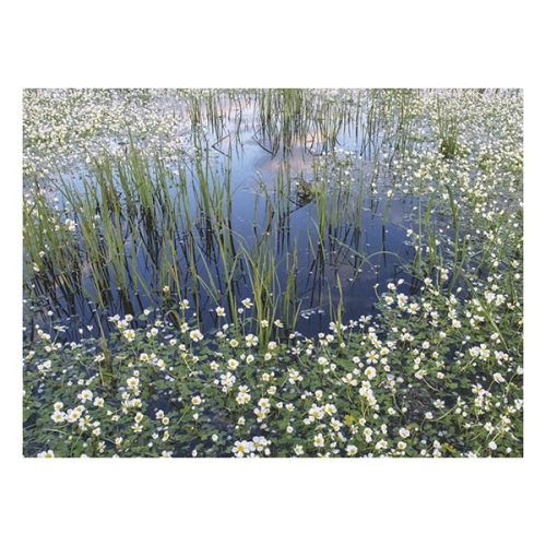 Falinaptár TOPTIMER T093 310x420mm álló Magyarország vizei  2026.