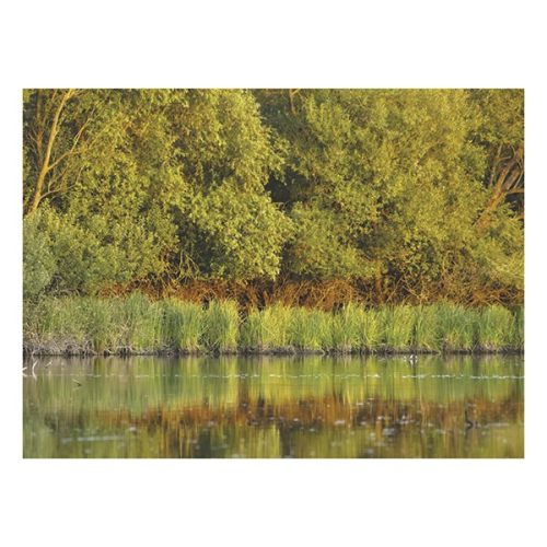 Falinaptár TOPTIMER T093 310x420mm álló Magyarország vizei  2026.