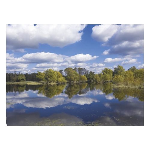 Falinaptár TOPTIMER T093 310x420mm álló Magyarország vizei  2026.