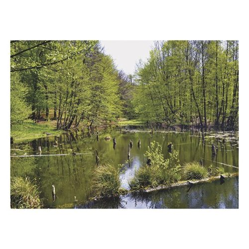 Falinaptár TOPTIMER T093 310x420mm álló Magyarország vizei  2026.