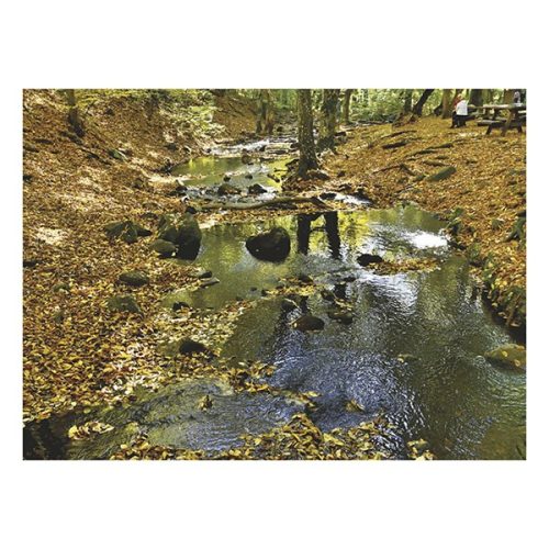 Falinaptár TOPTIMER T093 310x420mm álló Magyarország vizei  2026.