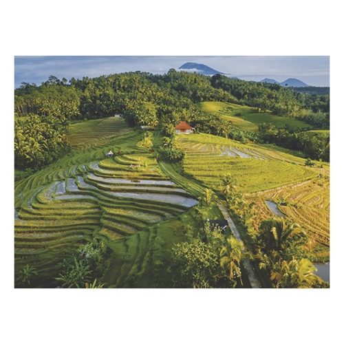 Falinaptár TOPTIMER T093 420x310mm fekvő Varázslatos tájakon 2026.