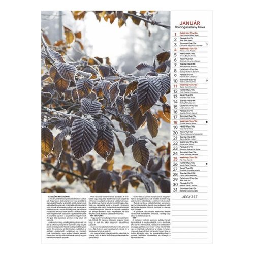 Falinaptár TOPTIMER T093 310x420mm álló Kertésznaptár 2026.