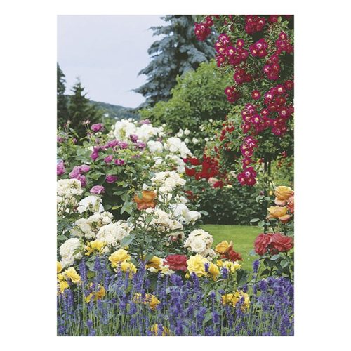 Falinaptár TOPTIMER T093 310x420mm álló Kertésznaptár 2026.