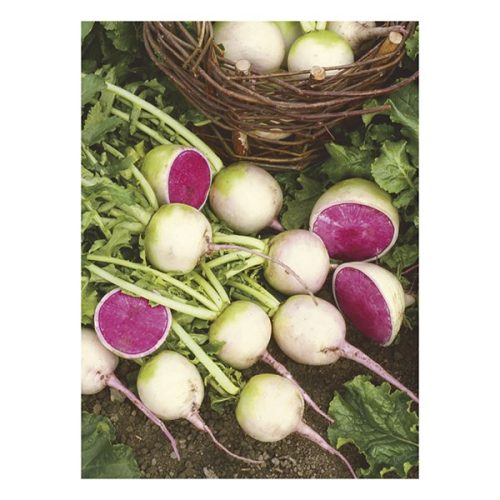 Falinaptár TOPTIMER T093 310x420mm álló Kertésznaptár 2026.