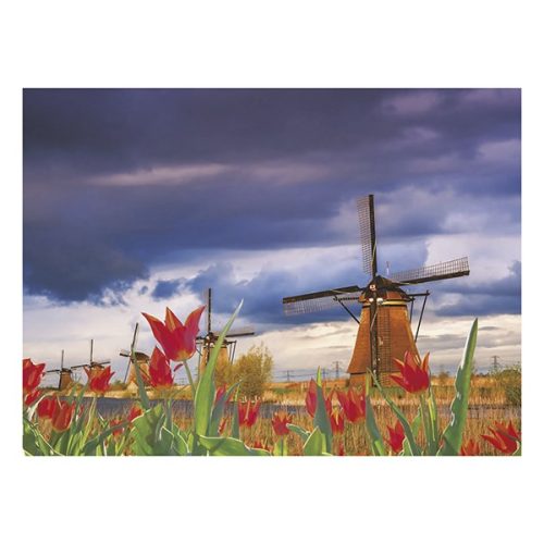 Falinaptár TOPTIMER T093 420x310mm fekvő Csodálatos világ 2026.