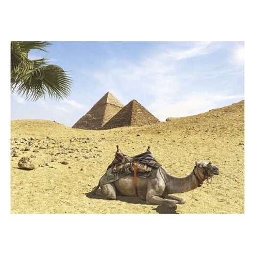 Falinaptár TOPTIMER T093 420x310mm fekvő Csodálatos világ 2026.