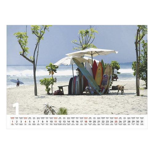 Falinaptár TOPTIMER T093 420x310mm fekvő Beach 2026.