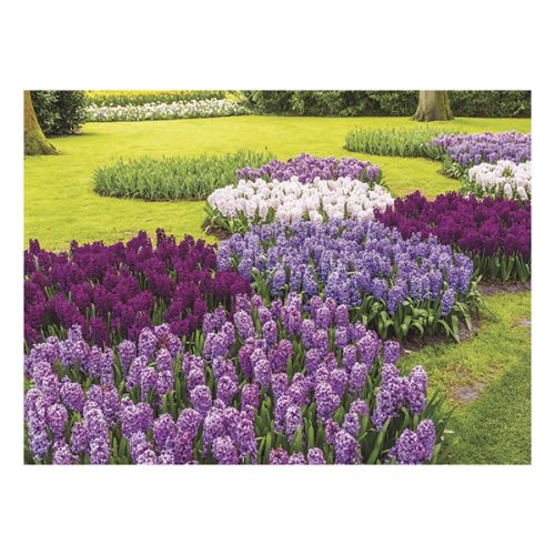 Falinaptár TOPTIMER T093 420x310mm fekvő Csodálatos kertek 2026.