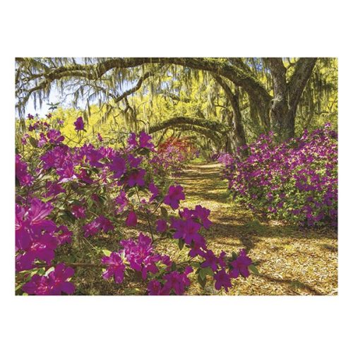 Falinaptár TOPTIMER T093 420x310mm fekvő Sétány 2026.