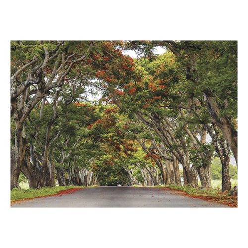 Falinaptár TOPTIMER T093 420x310mm fekvő Sétány 2026.