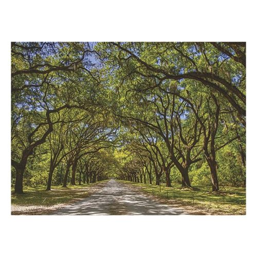 Falinaptár TOPTIMER T093 420x310mm fekvő Sétány 2026.