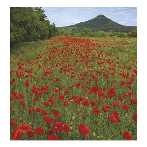 Falinaptár TOPTIMER T094 220x330mm álló Nemzeti parkjaink 2026.