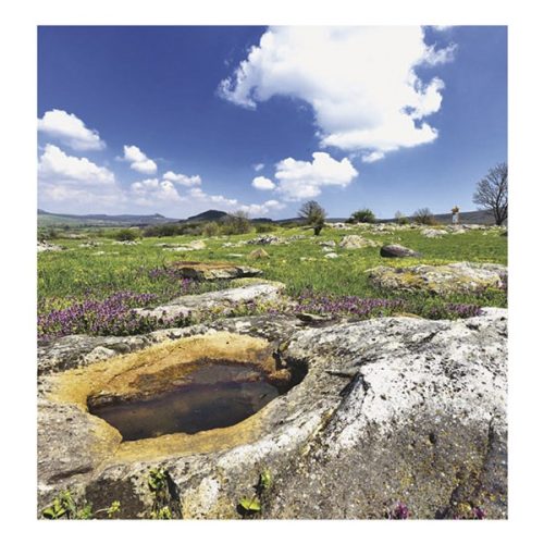 Falinaptár TOPTIMER T094 220x330mm álló Nemzeti parkjaink 2026.