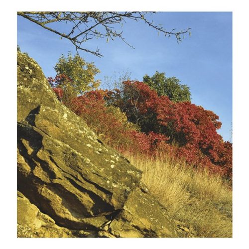 Falinaptár TOPTIMER T094 220x330mm álló Nemzeti parkjaink 2026.