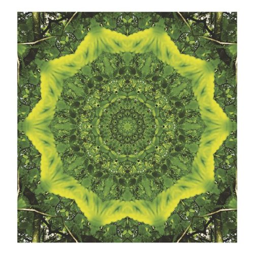 Falinaptár TOPTIMER T094 220x330mm álló Mandala 2026.