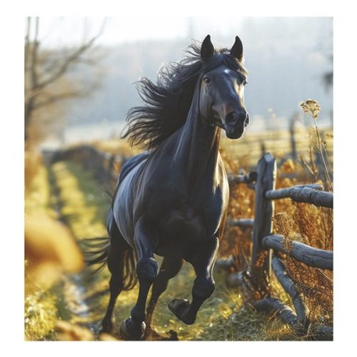 Falinaptár TOPTIMER T094 220x330mm álló Lovak 2026.