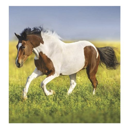 Falinaptár TOPTIMER T094 220x330mm álló Lovak 2026.