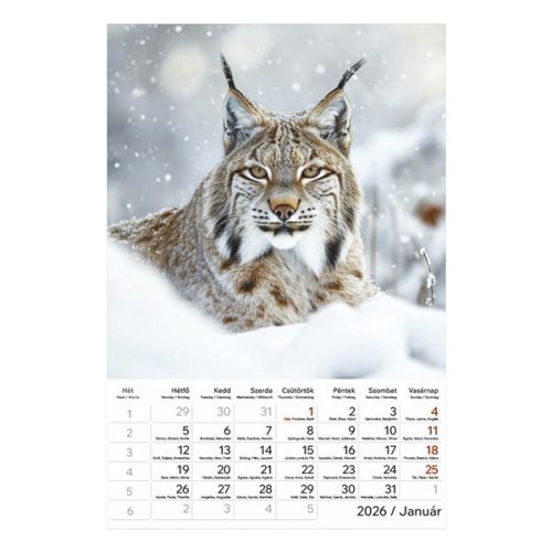 Falinaptár TOPTIMER T094 220x330mm álló Vadállatok 2026.