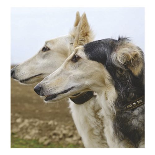 Falinaptár TOPTIMER T094 220x330mm álló Kutyák 2026.