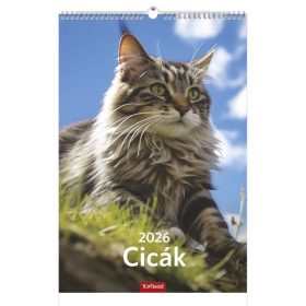 Falinaptár TOPTIMER T094 220x330mm álló Cicák 2026.