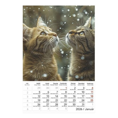 Falinaptár TOPTIMER T094 220x330mm álló Cicák 2026.