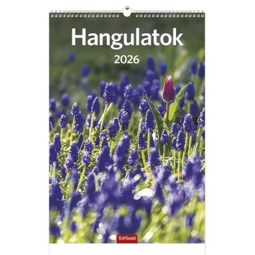 Falinaptár TOPTIMER T094 220x330mm álló Hangulatok 2026.