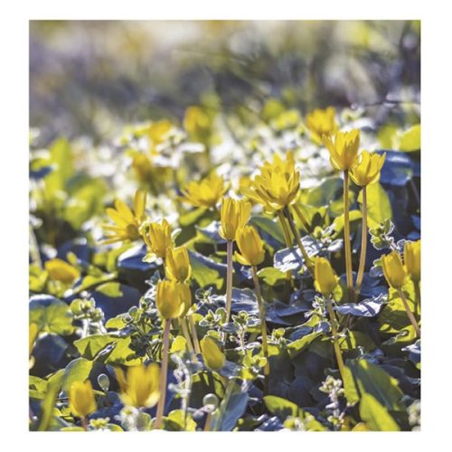 Falinaptár TOPTIMER T094 220x330mm álló Hangulatok 2026.