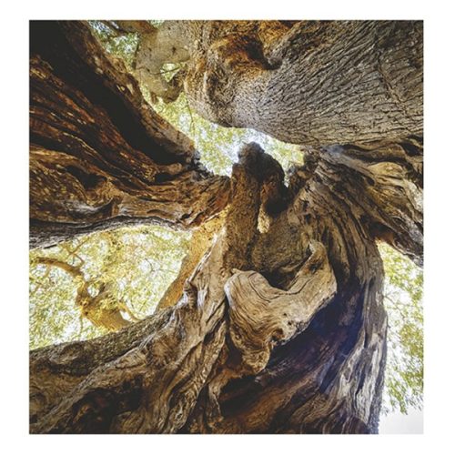 Falinaptár TOPTIMER T094 220x330mm álló Hangulatok 2026.