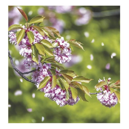 Falinaptár TOPTIMER T094 220x330mm álló Hangulatok 2026.