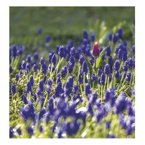 Falinaptár TOPTIMER T094 220x330mm álló Hangulatok 2026.