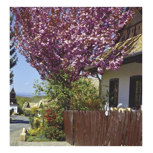 Falinaptár TOPTIMER T094 220x330mm álló Hungary 2026.