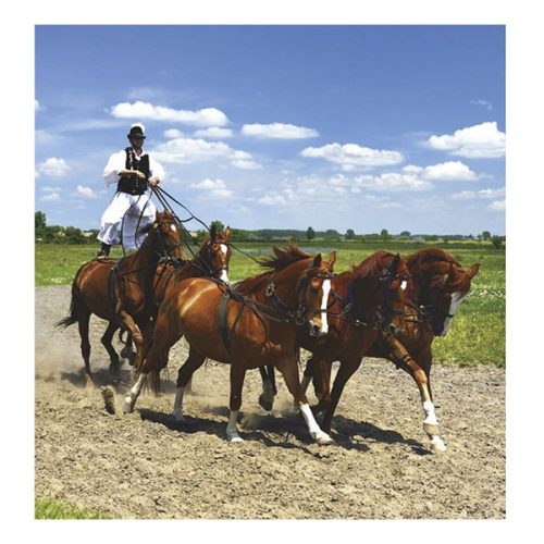 Falinaptár TOPTIMER T094 220x330mm álló Hungary 2026.