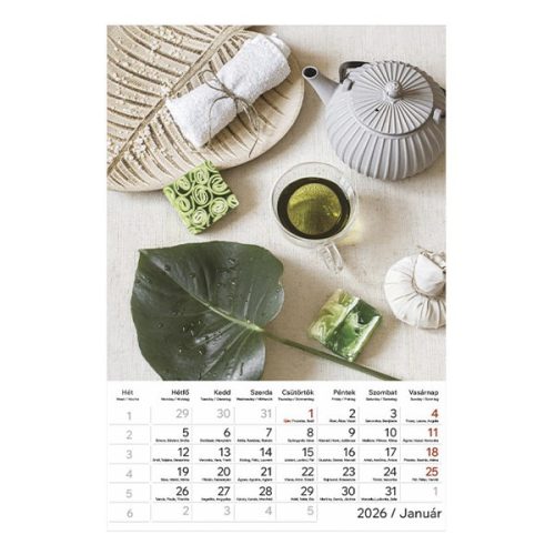 Falinaptár TOPTIMER T094 220x330mm álló Relax 2026.