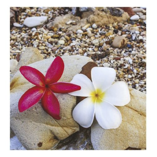 Falinaptár TOPTIMER T094 220x330mm álló Relax 2026.