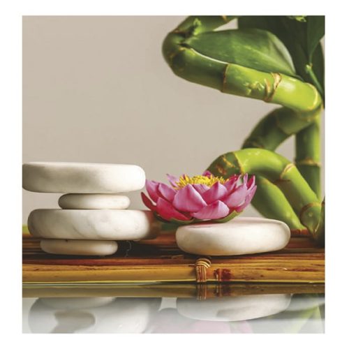 Falinaptár TOPTIMER T094 220x330mm álló Relax 2026.