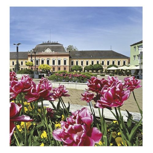 Falinaptár TOPTIMER T094 220x330mm álló Magyar városok 2026.