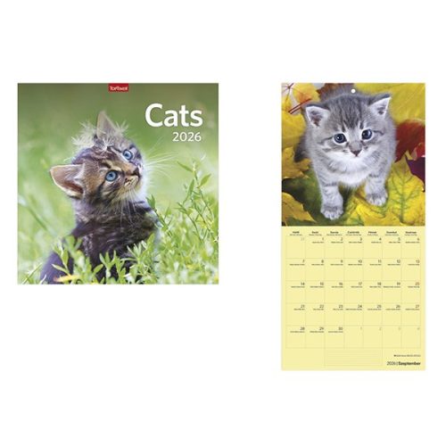 Falinaptár TOPTIMER T098 290x580mm álló Cats 2026.
