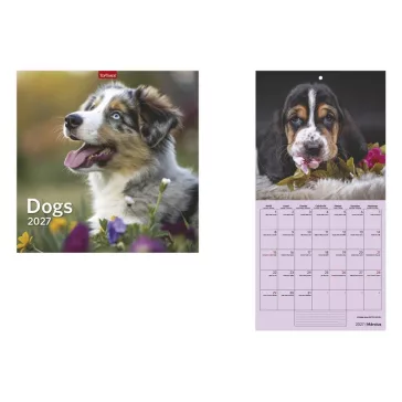 Falinaptár TOPTIMER T098 290x580mm álló Dogs 2027