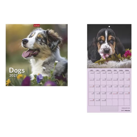 Falinaptár TOPTIMER T098 290x580mm álló Dogs 2027 Falinaptár TOPTIMER T098 290x580mm álló Dogs 2027