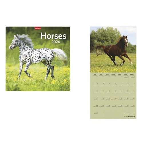 Falinaptár TOPTIMER T098 290x580mm álló Horses 2026.