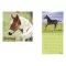 Falinaptár TOPTIMER T098 290x580mm álló Horses 2027