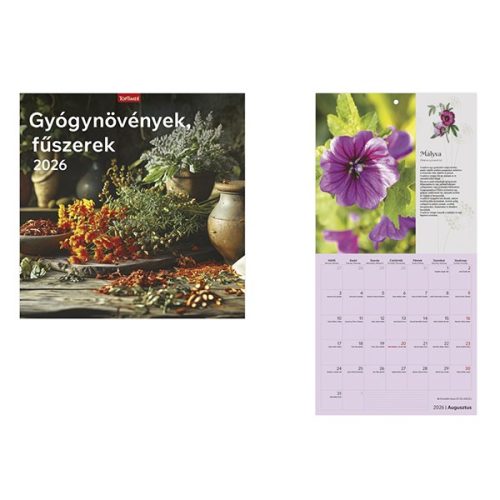 Falinaptár TOPTIMER T098 290x580mm álló Gyógynövények-fűszerek 2026.