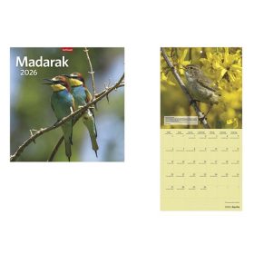 Falinaptár TOPTIMER T098 290x580mm álló Madarak 2026.