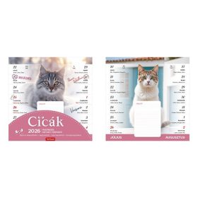 Falinaptár mágneses TOPTIMER T090 220x220mm Cicák 2026.