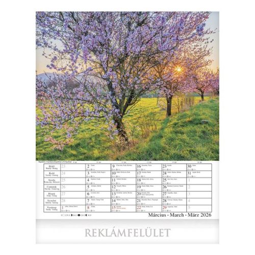 Falinaptár CSG 300x340mm álló Jó Reggelt! 2026.