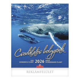 Falinaptár CSG 300x340mm álló Csodálatos Bolygónk 2026.
