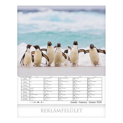 Falinaptár CSG 300x340mm álló Csodálatos Bolygónk 2026.