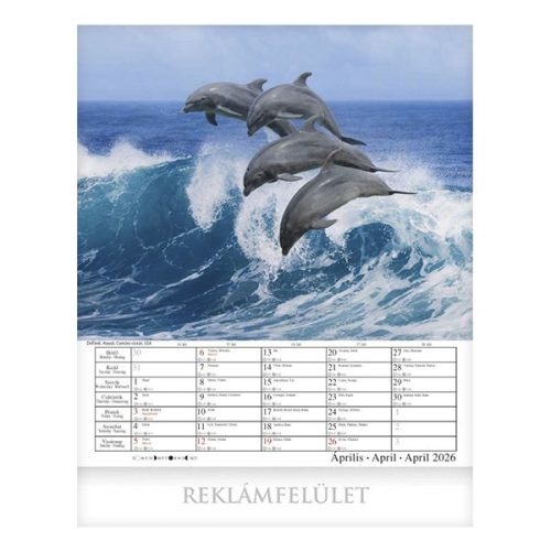 Falinaptár CSG 300x340mm álló Csodálatos Bolygónk 2026.